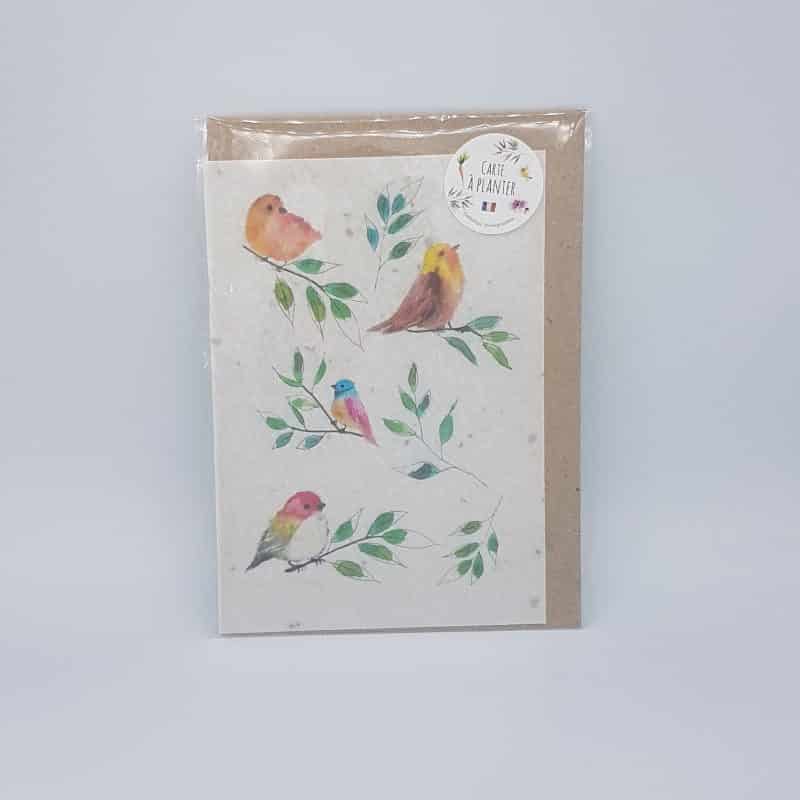 Carte à planter - Oiseau fleur orange - Les cartes de Lulu - Boutique Meli Melo
