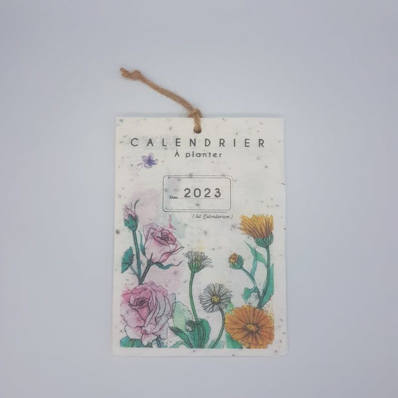 Calendrier à planter 2023 - Fleurs - Les cartes de Lulu - Boutique Meli Melo